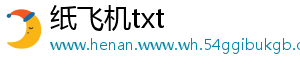 纸飞机txt